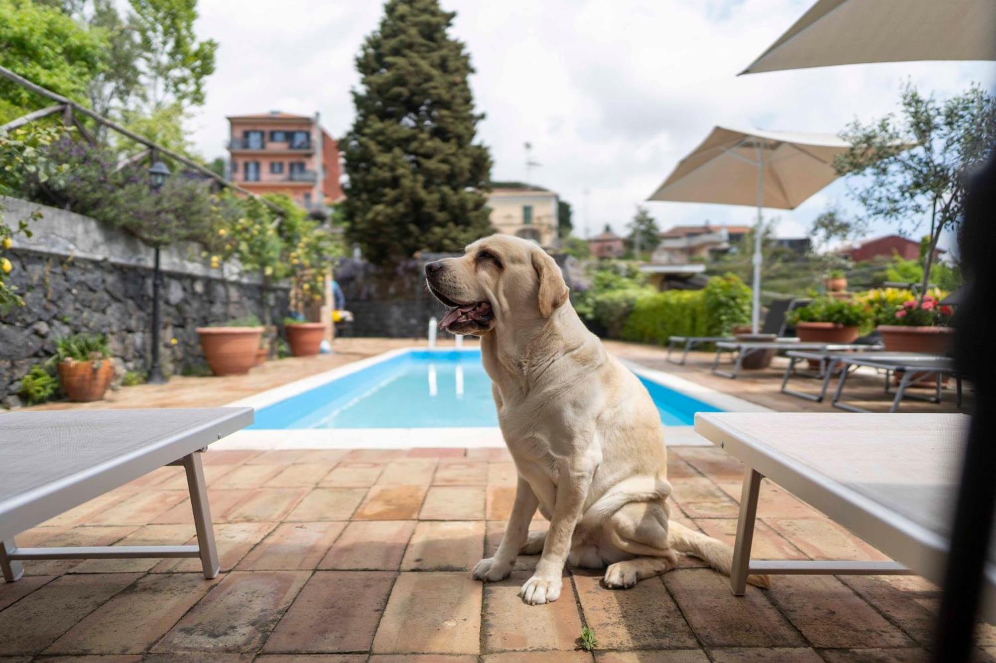 B&B Bellini Milo Dış mekan fotoğraf